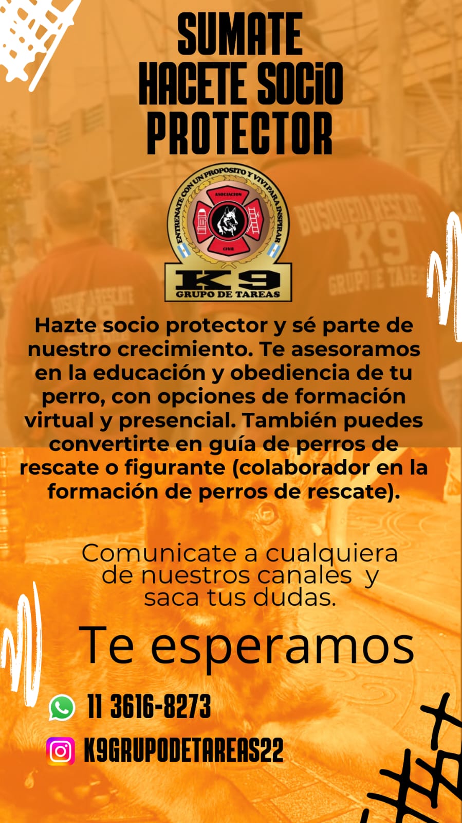 Flyer Publicitario